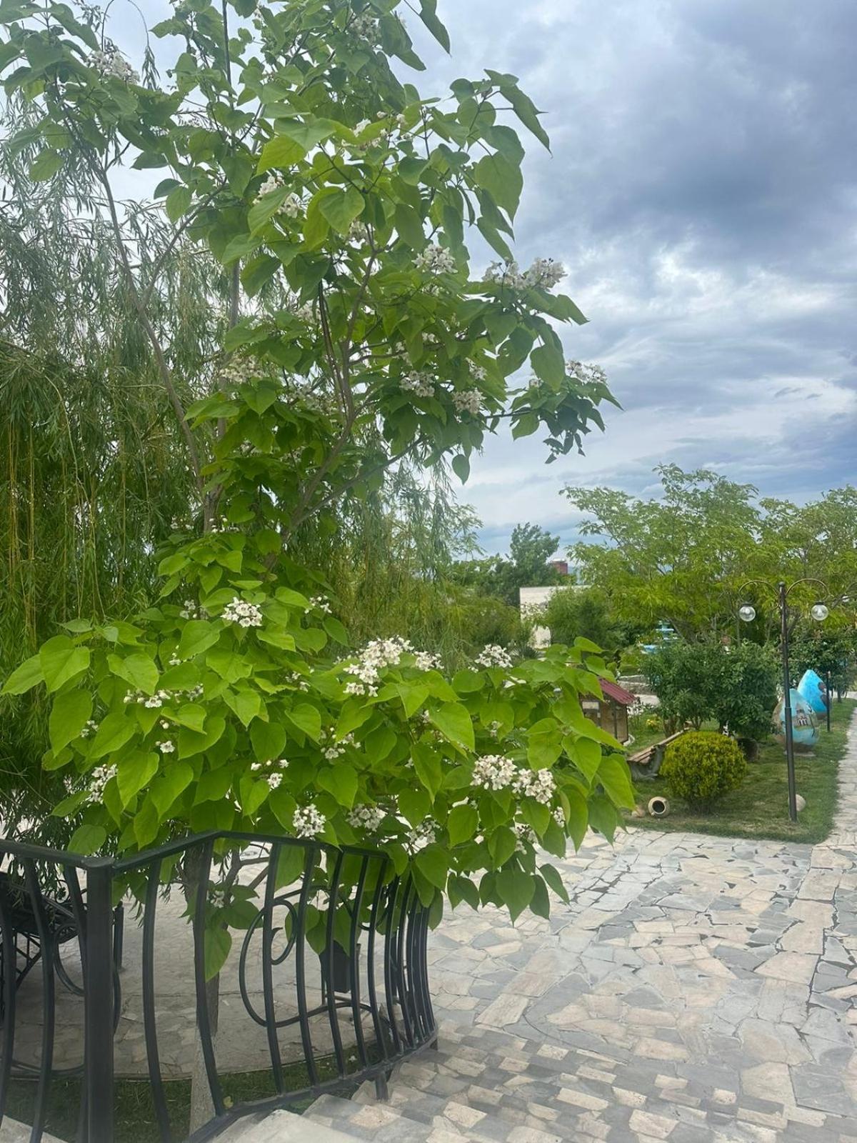 Ralina Restaurant And Hotel Davalinskiy Tsemzavod Exterior foto